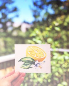 Sweet Lemon Press